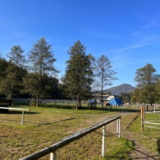 Areál pro chov koní - Všemily - Ústecký kraj (5. etapa) - 9