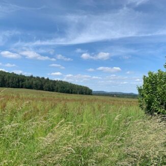 Areál pro chov koní - Všemily - Ústecký kraj (5. etapa) - 2