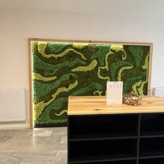 Činžovní dům - Olomouc (4. etapa) - 10