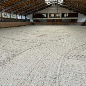 Horse breeding facility – Všemily – Ústí nad Labem Region (Phase 6th) - 8