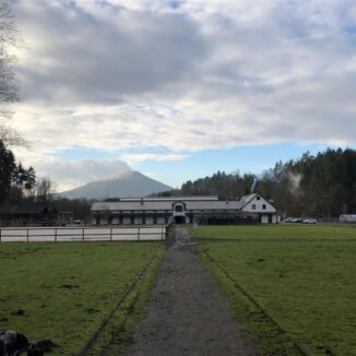 Areál pro chov koní - Všemily - Ústecký kraj (5. etapa) - 6