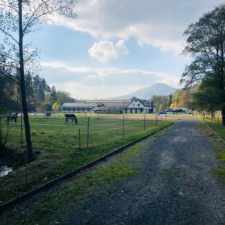 Horse breeding facility – Všemily – Ústí nad Labem Region (Phase 6th) - 3