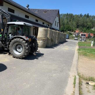 Horse breeding facility – Všemily – Ústí nad Labem Region (Phase 6th) - 5
