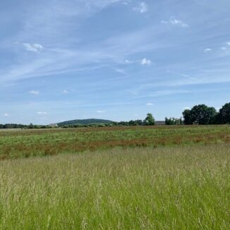 Areál pro chov koní - Všemily - Ústecký kraj (5. etapa) - 1